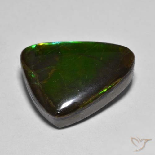 amolita Multicolorido Natural 12.07ct, Chique, Opaco