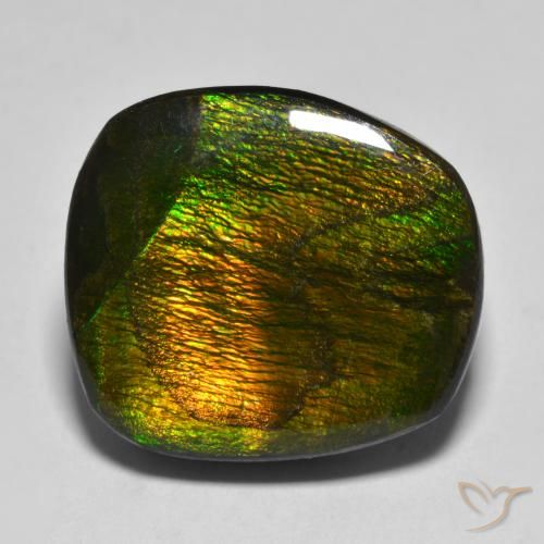 15.88ct Natural Multicolorido amolita, Chique, Opaco