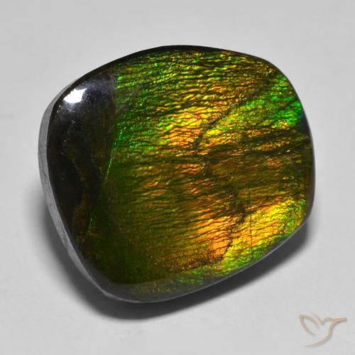 amolita Multicolorido Natural 15.88ct, Chique, Opaco