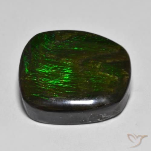 amolita Multicolorido Natural 15.88ct, Chique, Opaco
