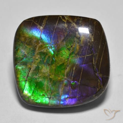 19.25ct Natural Multicolorido amolita, Chique, Opaco