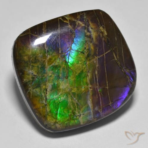 amolita Multicolorido Natural 19.25ct, Chique, Opaco