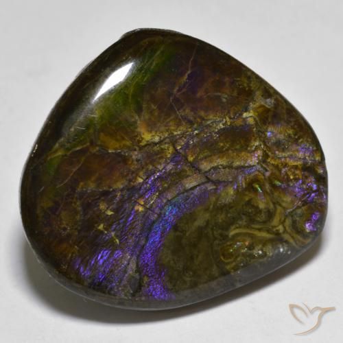 amolita Multicolorido Natural 20.55ct, Chique, Opaco