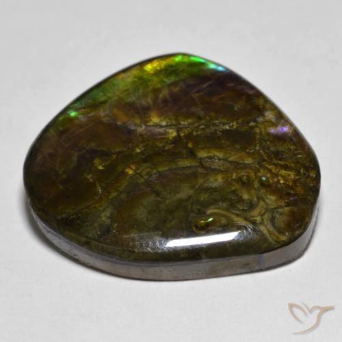 amolita Multicolorido Natural 20.55ct, Chique, Opaco