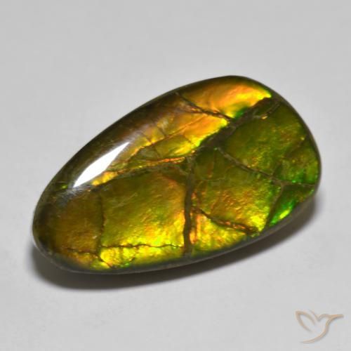 12.63ct Natural Multicolorido amolita, Chique, Opaco