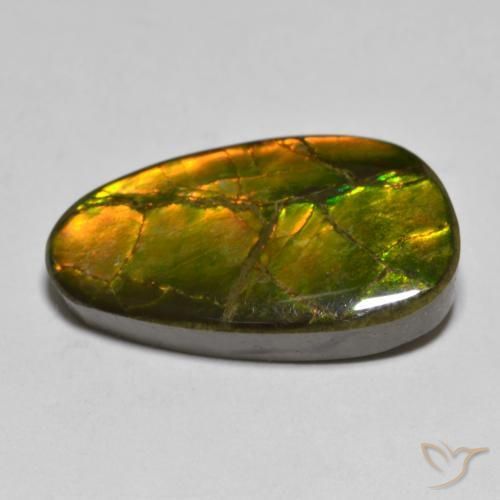 amolita Multicolorido Natural 12.63ct, Chique, Opaco