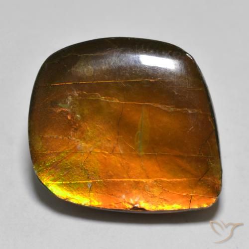 16.24ct Natural Multicolorido amolita, Chique, Opaco