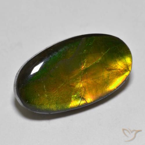10.40ct Natural Multicolorido amolita, oval, Opaco