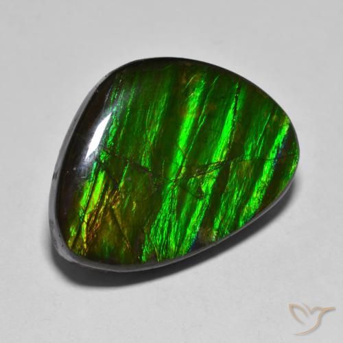 14.85ct Natural Multicolorido amolita, Chique, Opaco