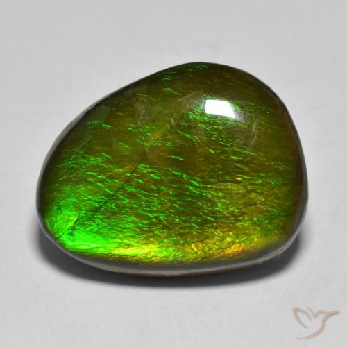 11.23ct Natural Multicolorido amolita, Chique, Opaco