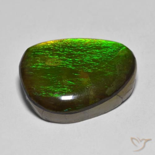 amolita Multicolorido Natural 11.23ct, Chique, Opaco