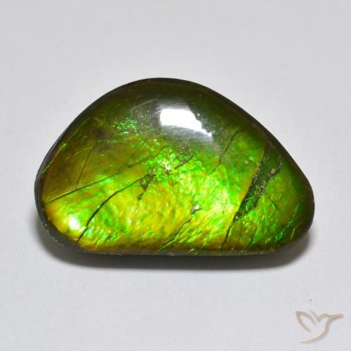 10.81ct Natural Multicolorido amolita, Chique, Opaco