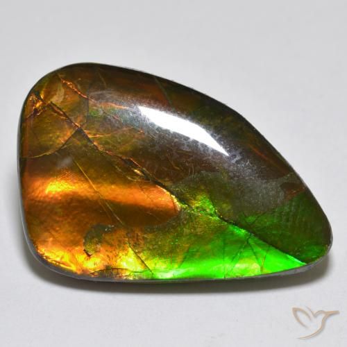 12.25ct Natural Multicolorido amolita, Chique, Opaco