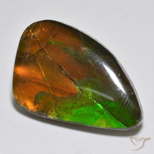 amolita Multicolorido Natural 12.25ct, Chique, Opaco