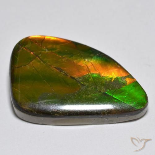 amolita Multicolorido Natural 12.25ct, Chique, Opaco