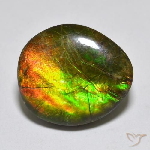 13.34ct Natural Multicolorido amolita, Chique, Opaco