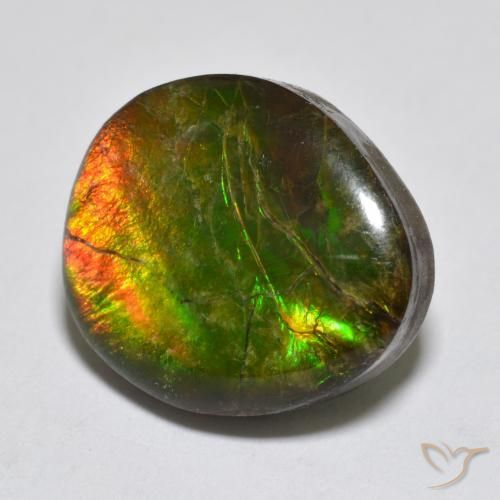 amolita Multicolorido Natural 13.34ct, Chique, Opaco
