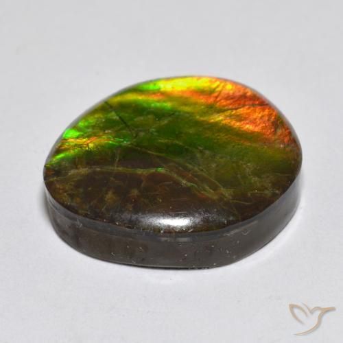 amolita Multicolorido Natural 13.34ct, Chique, Opaco