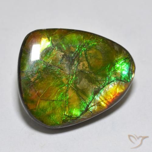 14.92ct Natural Multicolorido amolita, Chique, Opaco