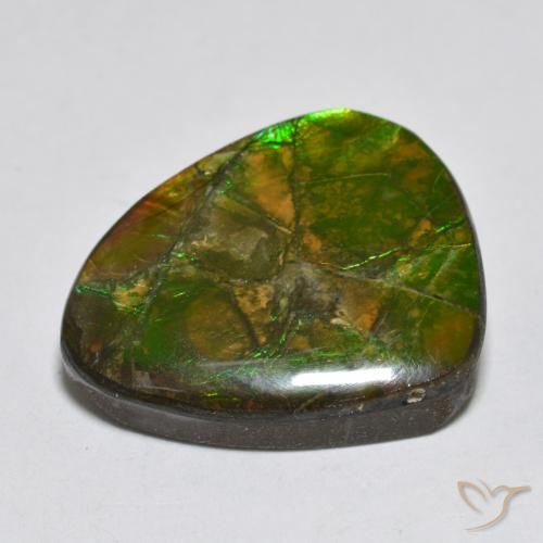 amolita Multicolorido Natural 14.92ct, Chique, Opaco