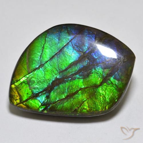 17.95ct Natural Multicolorido amolita, Chique, Opaco