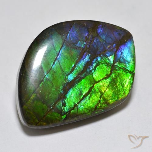 amolita Multicolorido Natural 17.95ct, Chique, Opaco