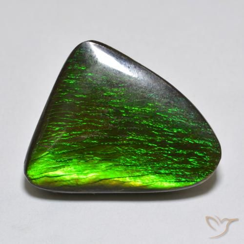 13.96ct Natural Multicolorido amolita, Chique, Opaco