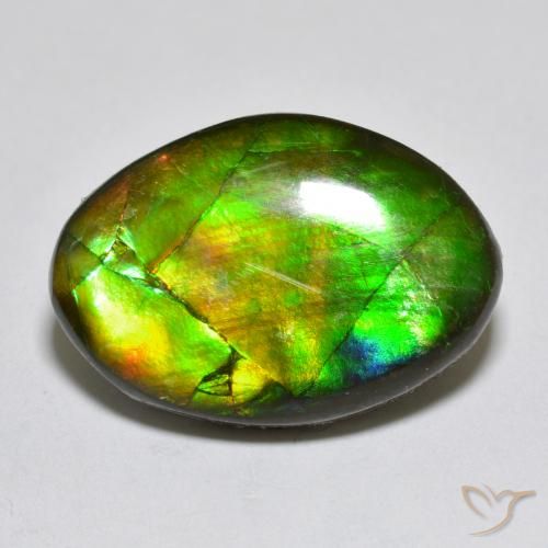 10.50ct Natural Multicolorido amolita, Chique, Opaco