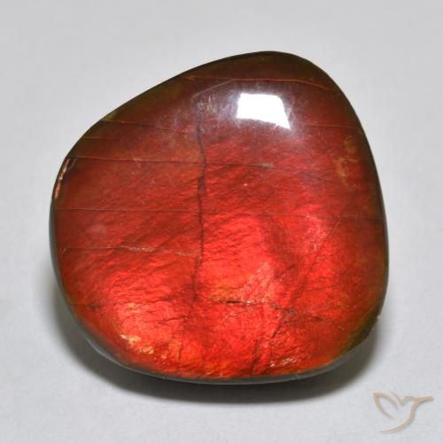 15.39ct Natural Multicolorido amolita, Chique, Opaco