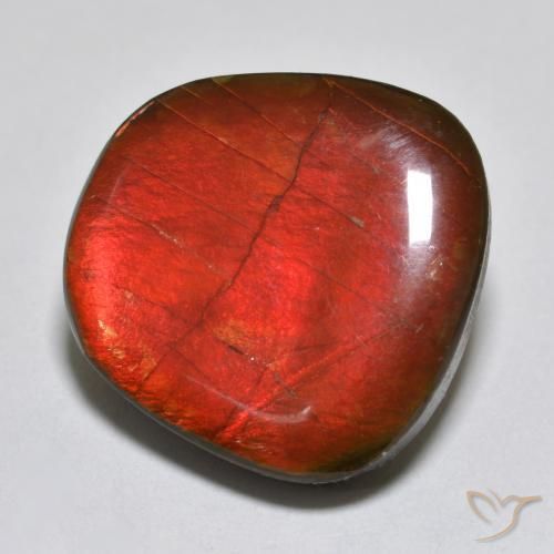 amolita Multicolorido Natural 15.39ct, Chique, Opaco