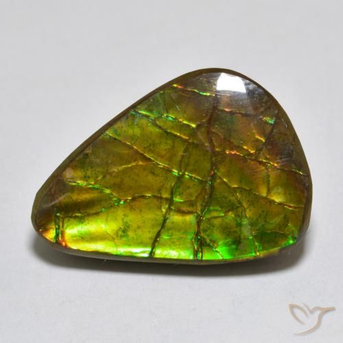 11.13ct Natural Multicolorido amolita, Chique, Opaco