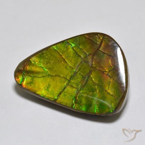 amolita Multicolorido Natural 11.13ct, Chique, Opaco