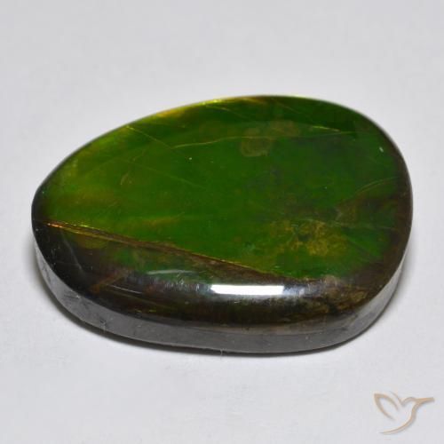 amolita Multicolorido Natural 18.76ct, Chique, Opaco
