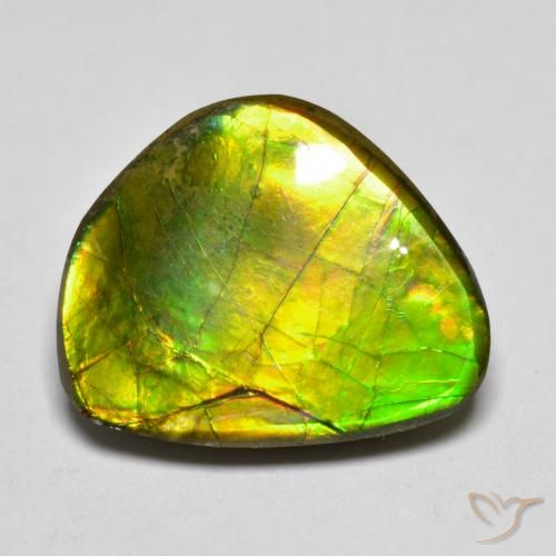 11.11ct Natural Multicolorido amolita, Chique, Opaco