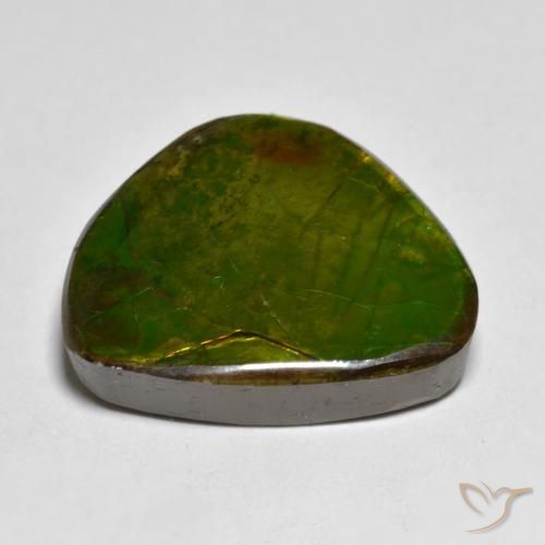 amolita Multicolorido Natural 11.11ct, Chique, Opaco