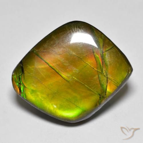 19.04ct Natural Multicolorido amolita, Chique, Opaco