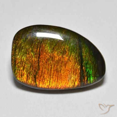 10.20ct Natural Multicolorido amolita, Chique, Opaco