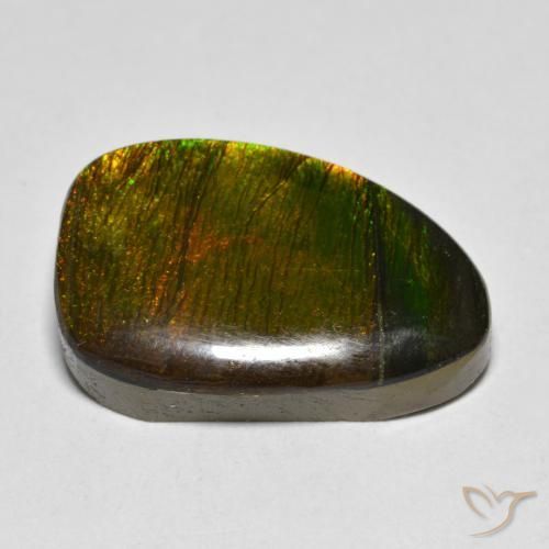 amolita Multicolorido Natural 10.20ct, Chique, Opaco