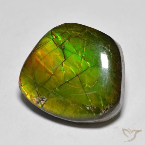 11.20ct Natural Multicolorido amolita, Chique, Opaco