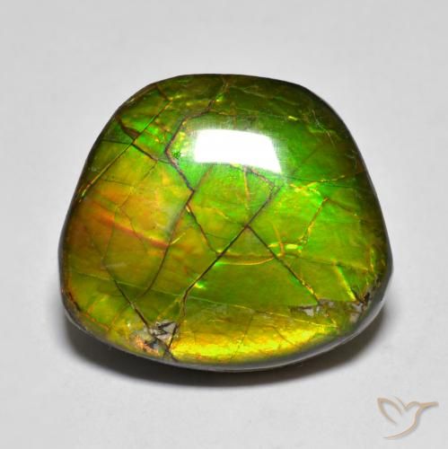 amolita Multicolorido Natural 11.20ct, Chique, Opaco
