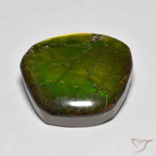 amolita Multicolorido Natural 11.20ct, Chique, Opaco
