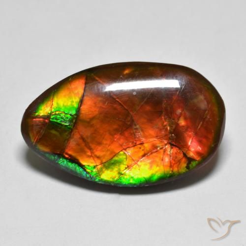 amolita Multicolorido Natural 13.17ct, Chique, Opaco