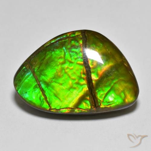 12.75ct Natural Multicolorido amolita, Chique, Opaco