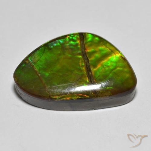amolita Multicolorido Natural 12.75ct, Chique, Opaco