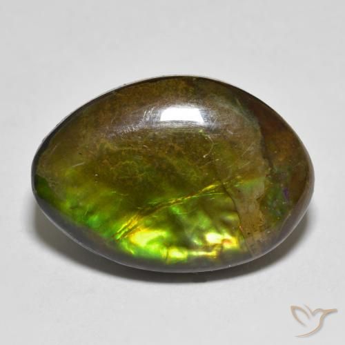 11.56ct Natural Multicolorido amolita, Chique, Opaco