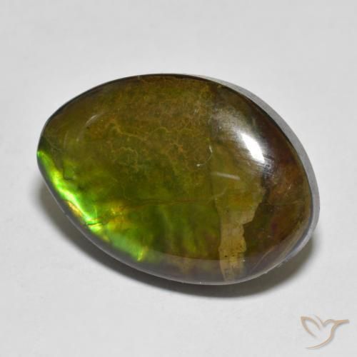 amolita Multicolorido Natural 11.56ct, Chique, Opaco