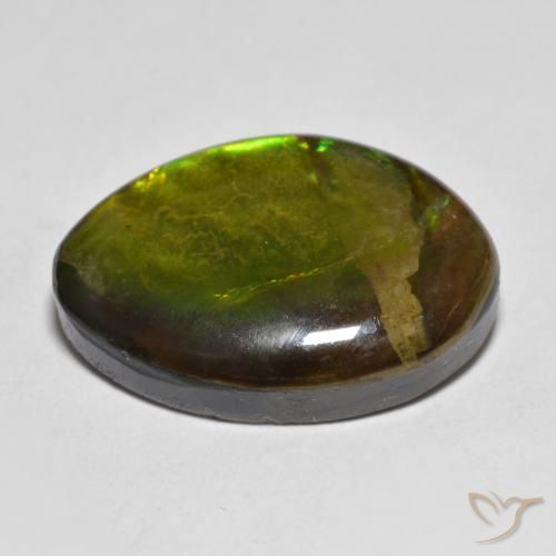 amolita Multicolorido Natural 11.56ct, Chique, Opaco
