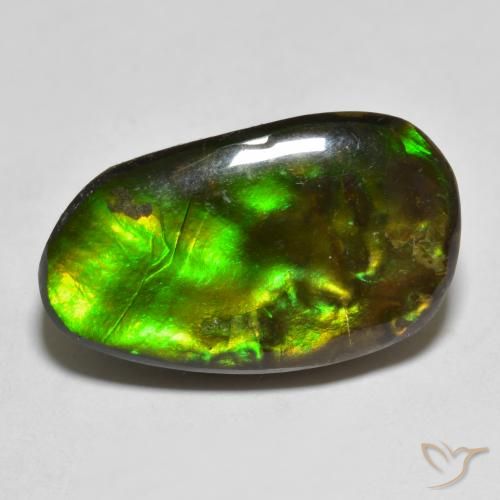 13.25ct Natural Multicolorido amolita, Chique, Opaco