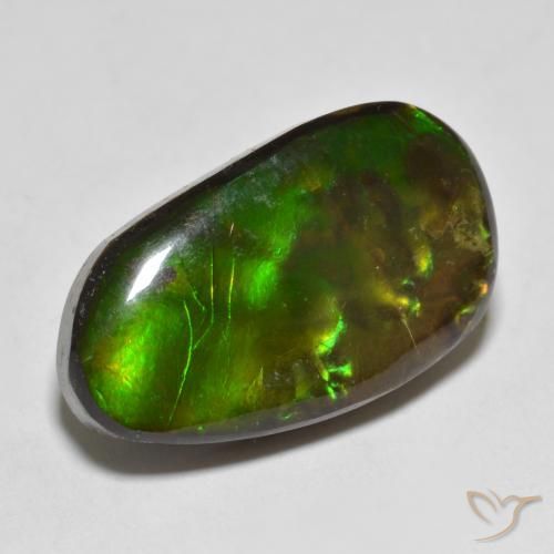 amolita Multicolorido Natural 13.25ct, Chique, Opaco