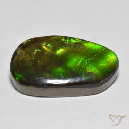 amolita Multicolorido Natural 13.25ct, Chique, Opaco